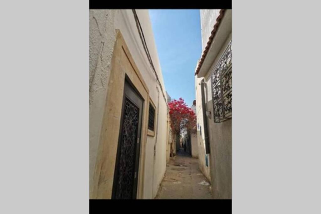 Dar El Halfaouine Apartman Tunisz Kültér fotó